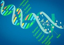 生物科學(xué)的就業(yè)是什么 生物科學(xué)能從事什么工作