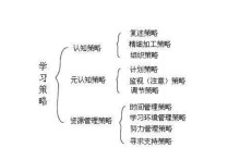 列提綱挖空填詞 什么策略 知識(shí)結(jié)構(gòu)圖屬于什么策略